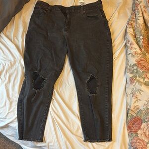 Signature by Levi Strauss Black Distressed Jeans